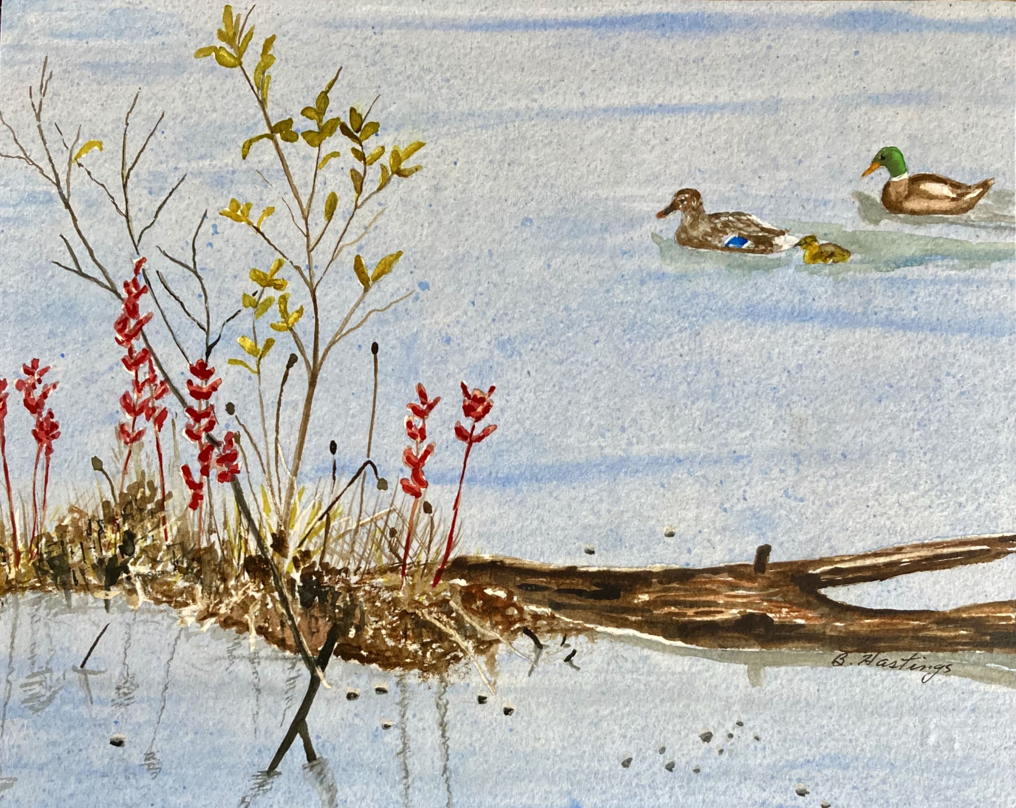 Click here to view Family Outing by Bonnie Hastings