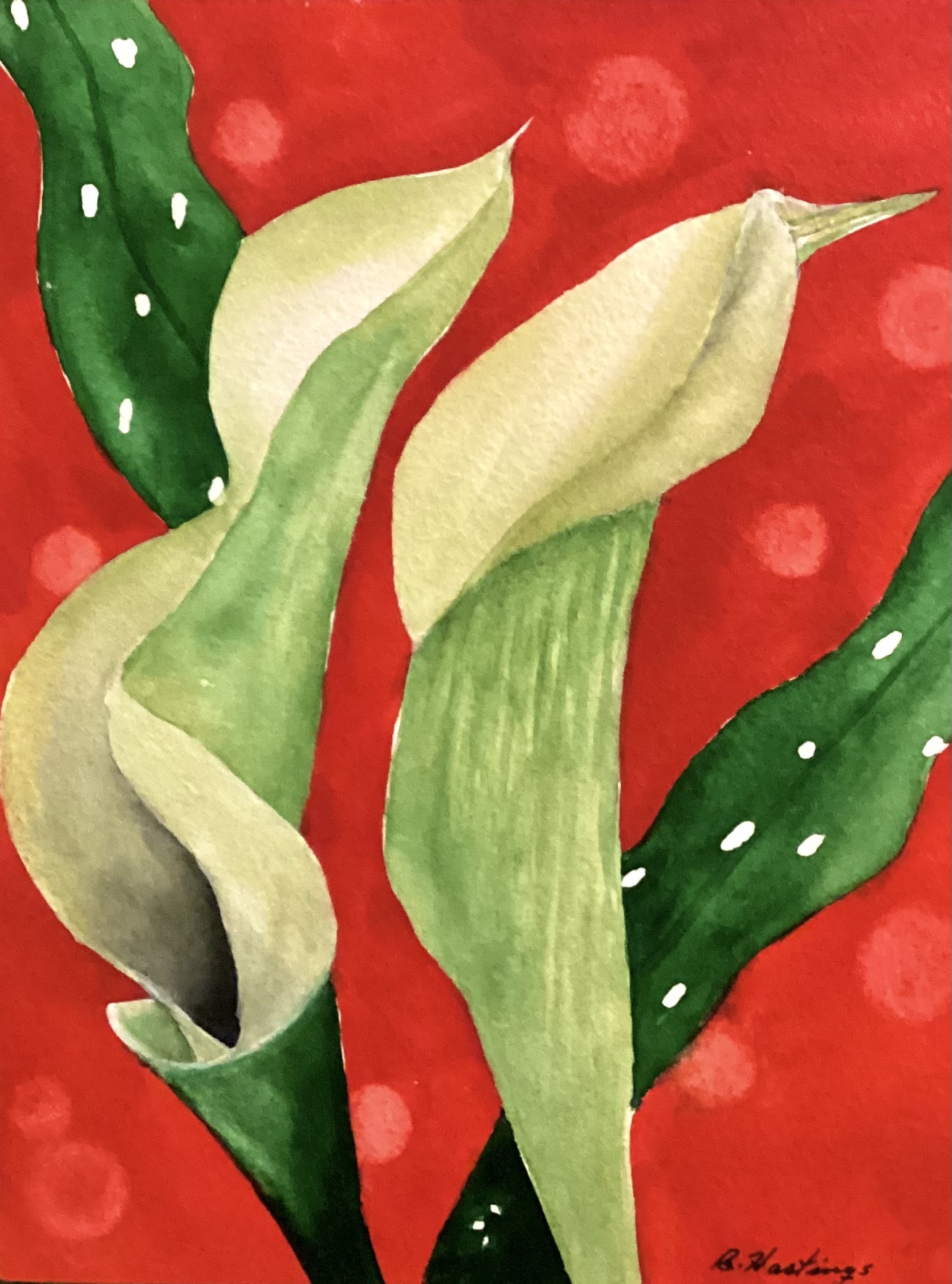 Click here to view Calescent Callas by Bonnie Hastings