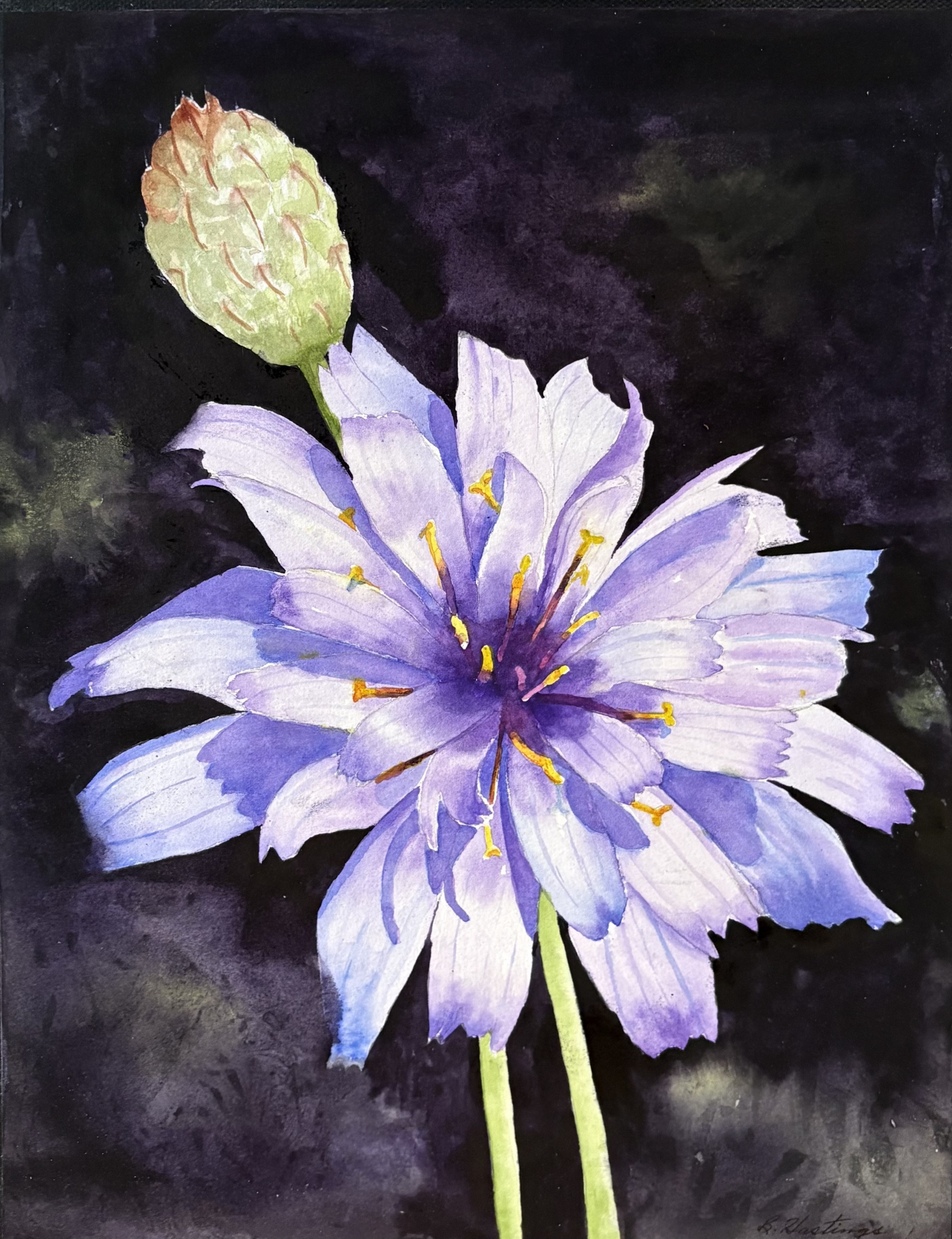 Click here to view Face the Sun by Bonnie Hastings