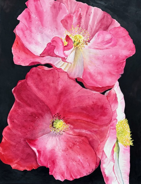 Click here to view Holding You Closely by Bonnie Hastings