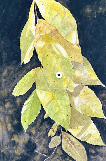 Click here to view Autumn Glow by Bonnie Hastings