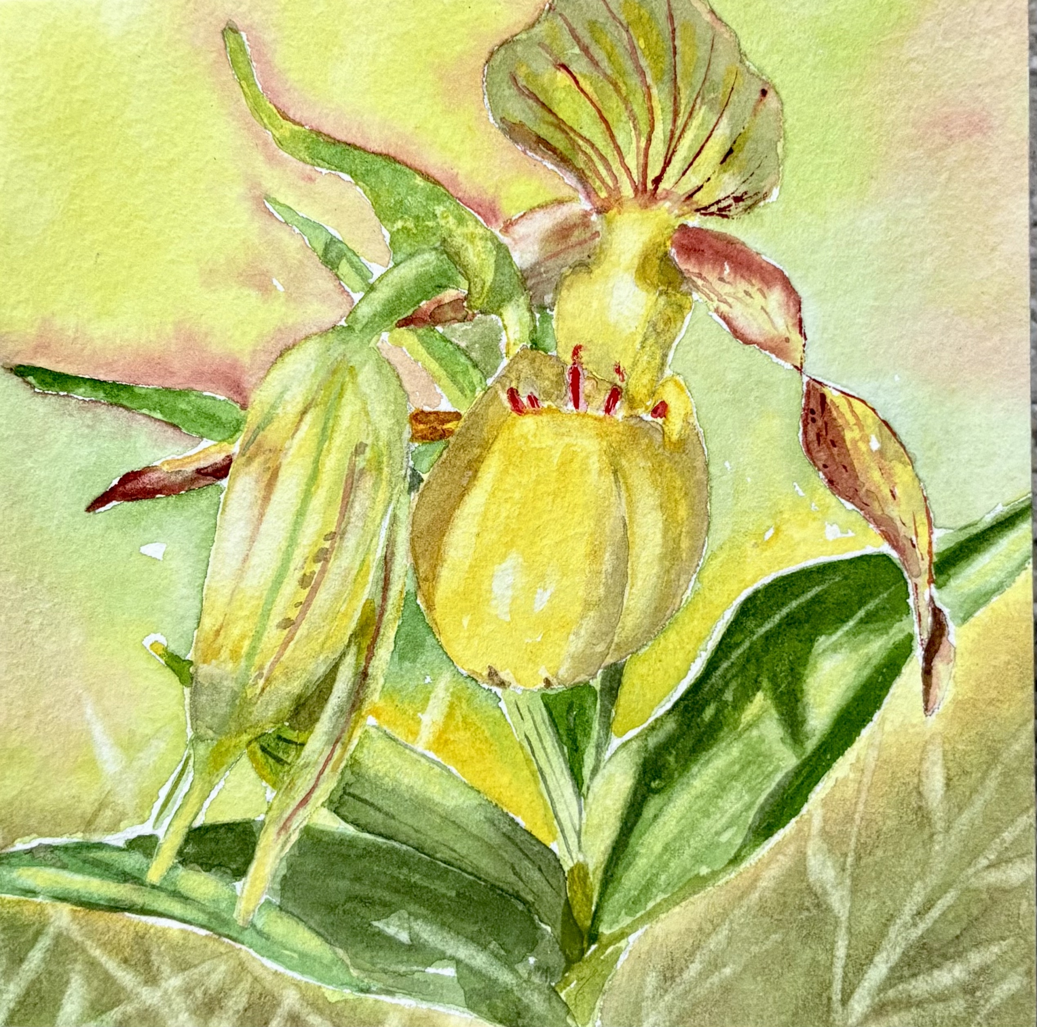 Click here to view A Slipper in the Woods by Bonnie Hastings