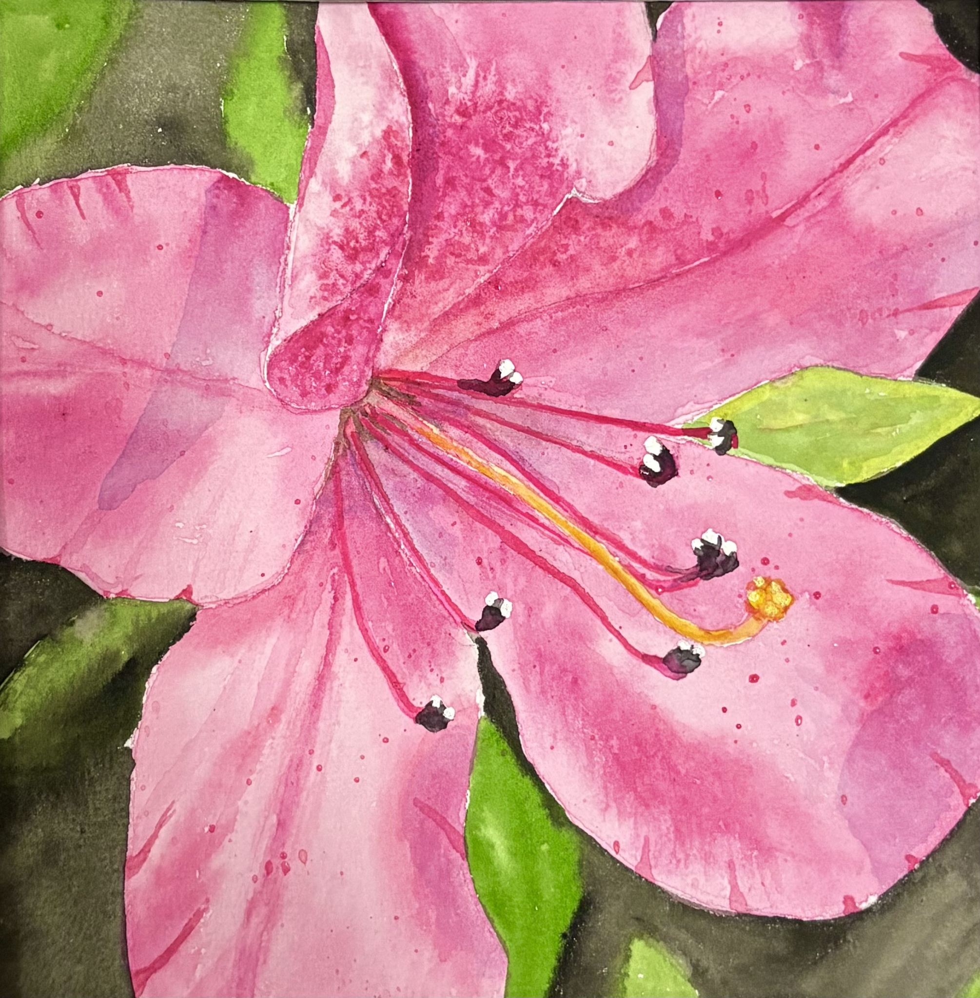 Click here to view Alluring Azalea by Bonnie Hastings