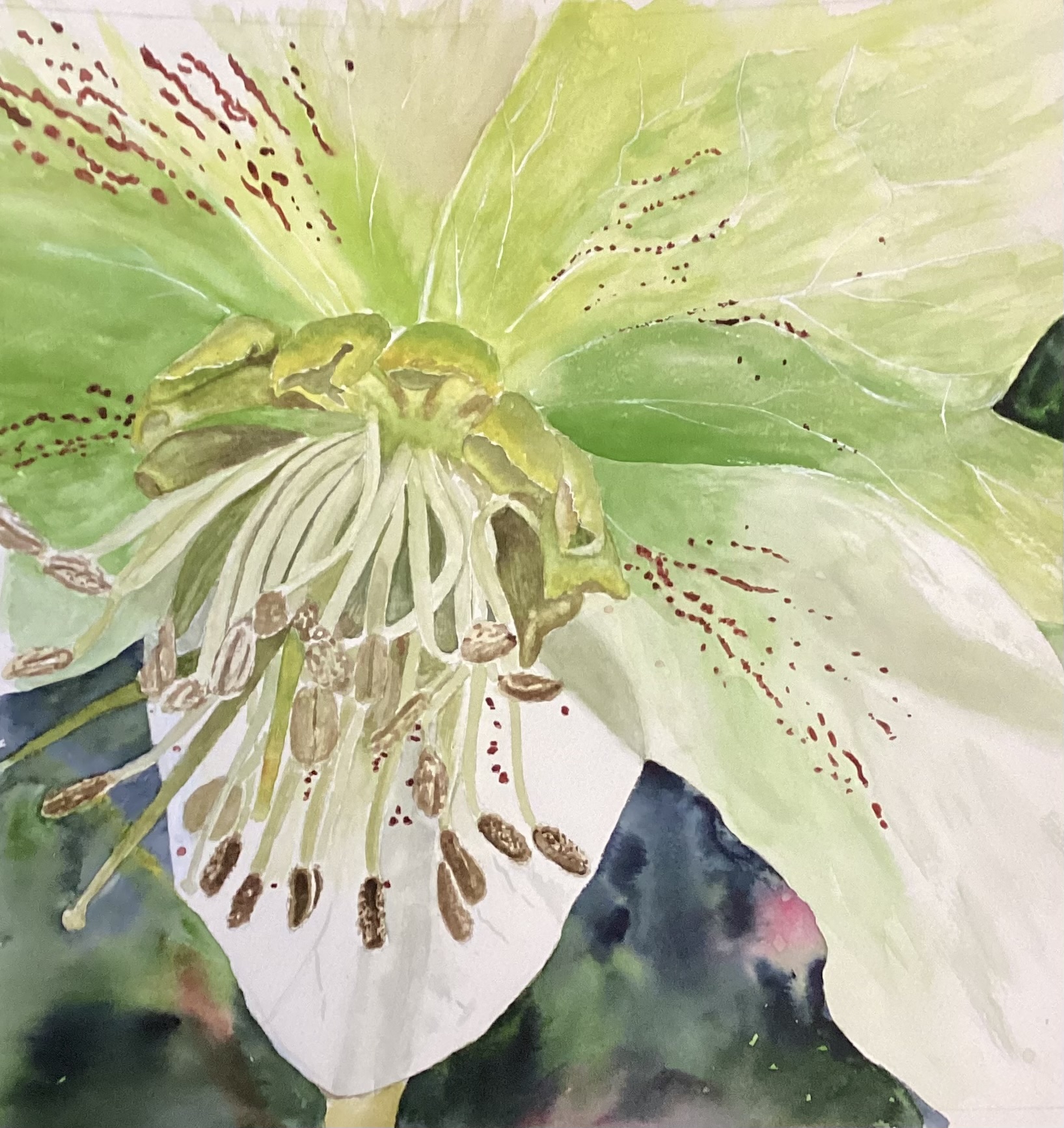 Click here to view Before Spring Decides by Bonnie Hastings