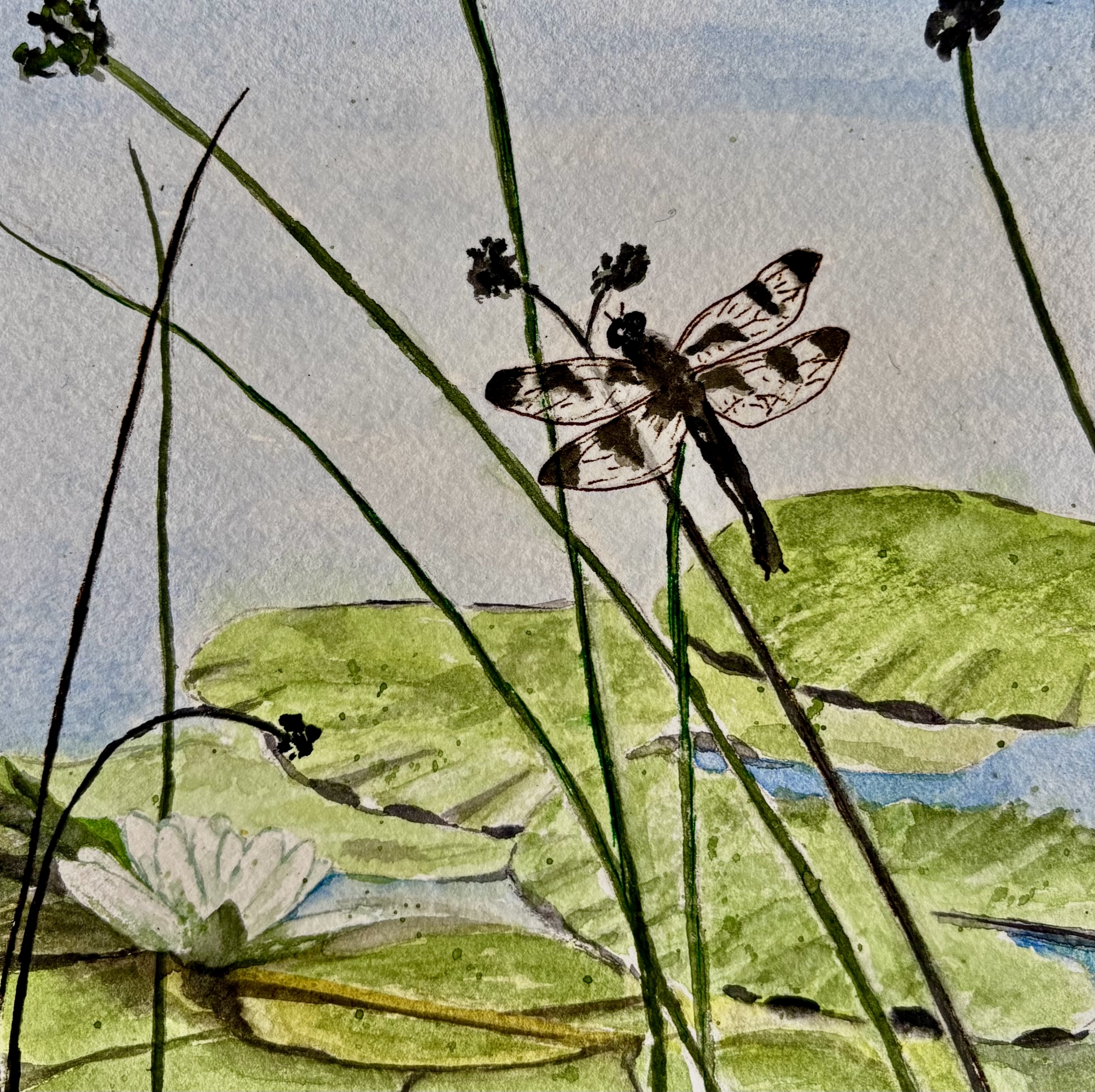 Click here to view In the Marsh by Bonnie Hastings