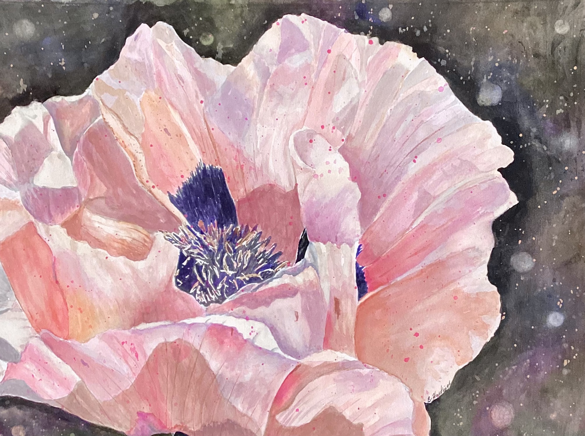 Click here to view Tender Bloom by Bonnie Hastings