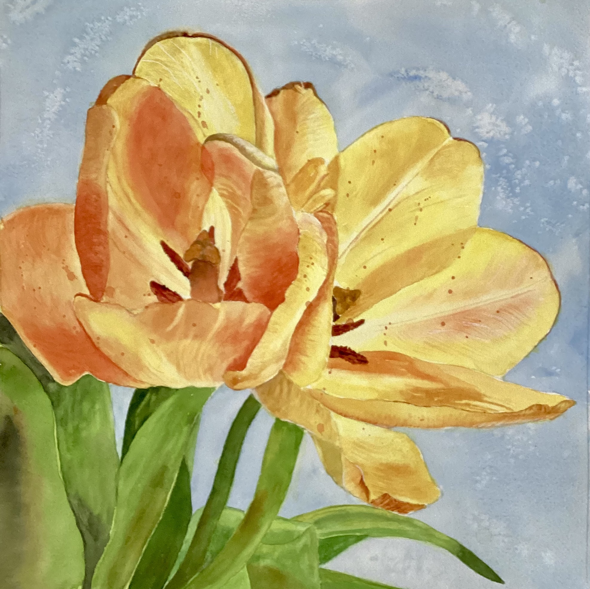 Click here to view Early Blooms by Bonnie Hastings