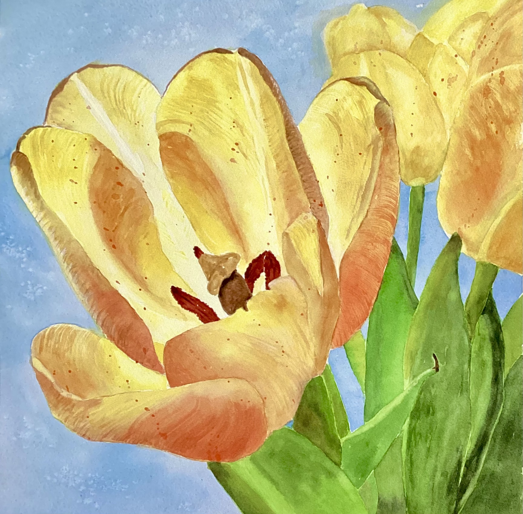 Click here to view Spring Study by Bonnie Hastings