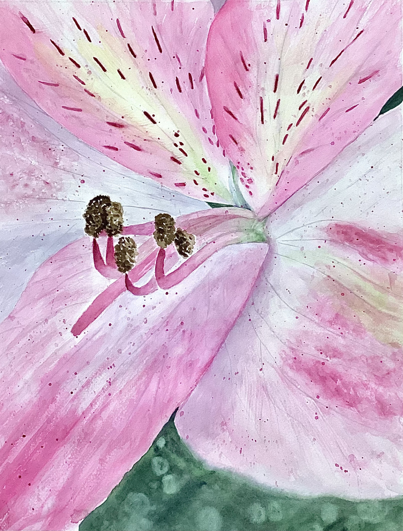 Click here to view Lily in Pink by Bonnie Hastings