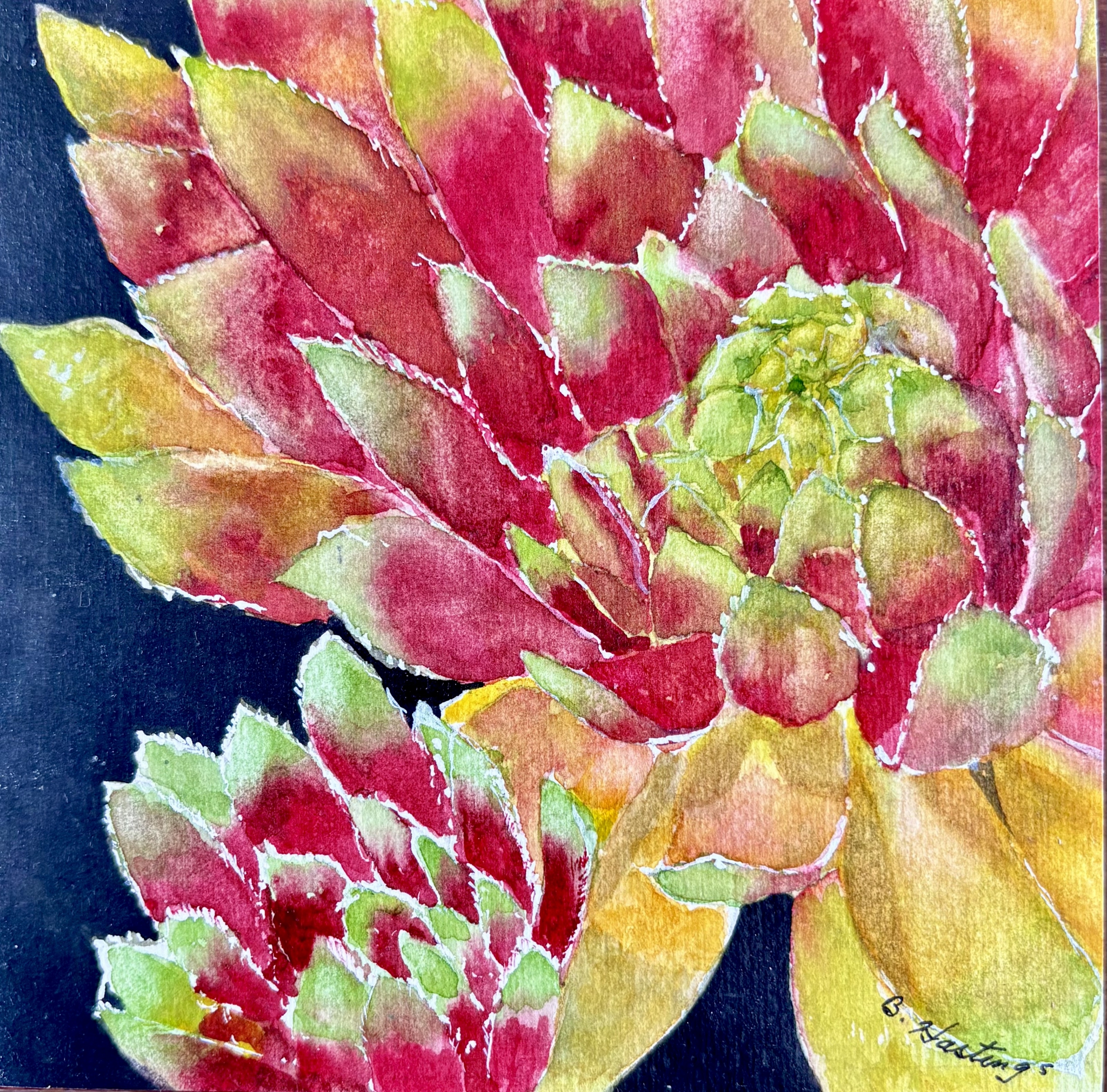 Click here to view Ember Rosette by Bonnie Hastings